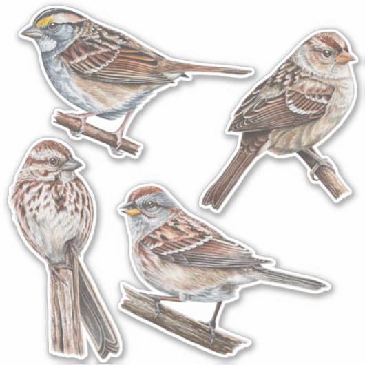 Stickers Sparrow Pack de valeur (Devant)