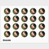 Stickers Spoonbill L'Oiseau Rose (Feuille)