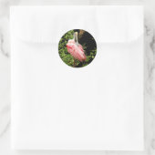 Stickers Spoonbill L'Oiseau Rose (Sac)