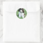 Stickers Springer Puppy (Sac)