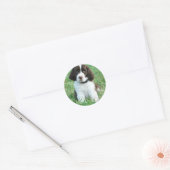 Stickers Springer Puppy (Enveloppe)