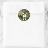 Stickers Springer Spaniel Chien (Sac)