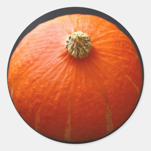 Stickers Squash (Devant)