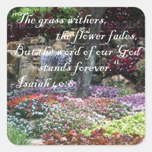 Stickers Stands Forever (Devant)