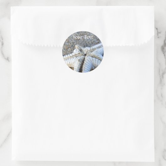 Stickers Starfish (Sac)