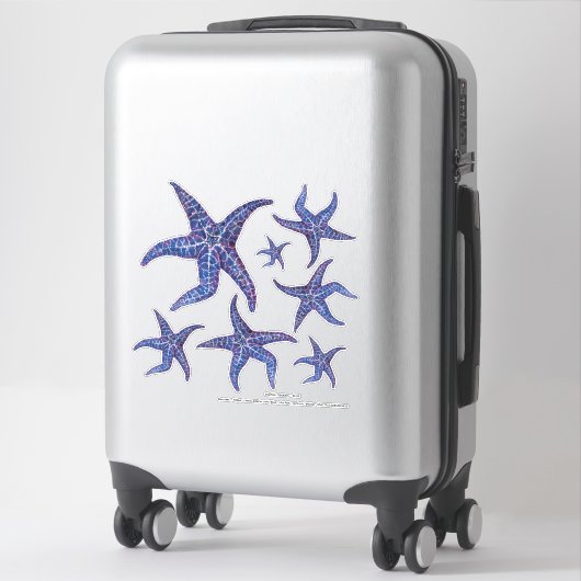 Stickers Starfish - BLEU (Sur valise)