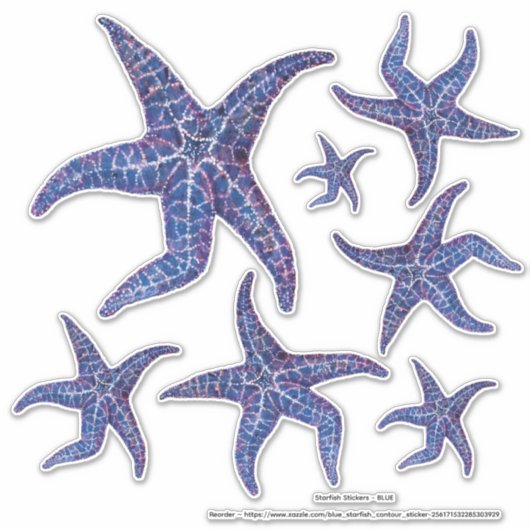 Stickers Starfish - BLEU (Devant)