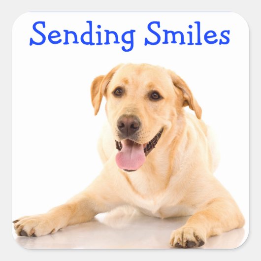 Stickers Sticker pour chien Smile Labrador Retriev (Devant)