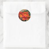 Stickers Streptosolen Orange Marmalade (Sac)