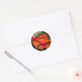 Stickers Streptosolen Orange Marmalade (Enveloppe)