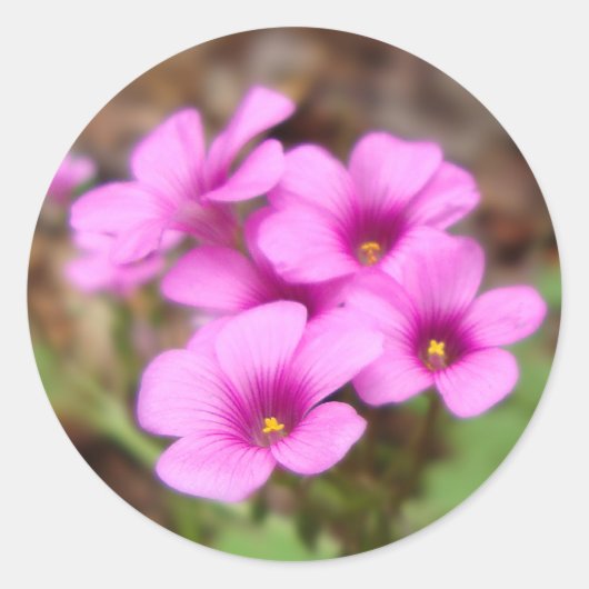 Stickers sur ma porte (Devant)