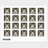 Stickers Syrus Shocked 0001 (Feuille)