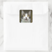 Stickers Syrus Shocked 0001 (Sac)
