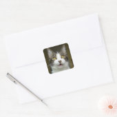 Stickers Syrus Shocked 0001 (Enveloppe)