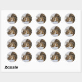 Stickers Tabby Cat (Feuille)