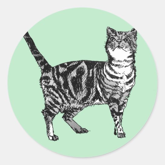 Stickers Tabby Cat Mint Cute cats animaux ensemble (Devant)