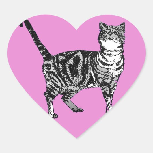 Stickers Tabby Cat Pink Cute chats animaux Ensembl (Devant)