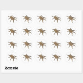 Stickers Tarantula (Feuille)