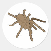 Stickers Tarantula (Devant)