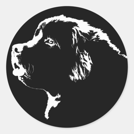 Stickers Terre-Neuve Stickers Chien de Terre-Neuve (Devant)