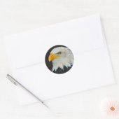 Stickers Tête d'aigle (Enveloppe)