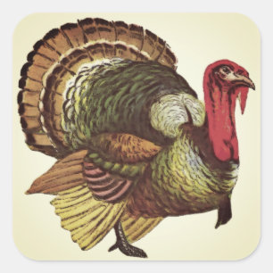 Stickers Thanksgiving Wild Turkey
