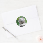 stickers Tiger blanc (Enveloppe)