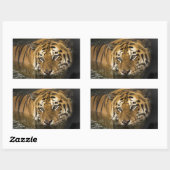 stickers tigre (Feuille)