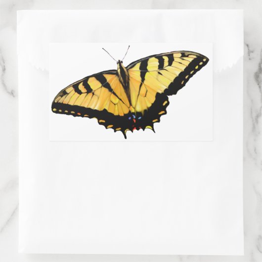 Stickers Tijger Swallowtail (Tas)