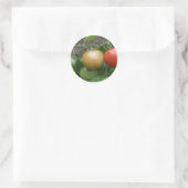 Stickers Tomates Légères De La Circulation (Sac)