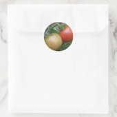 Stickers Tomates rouges et orange (Sac)