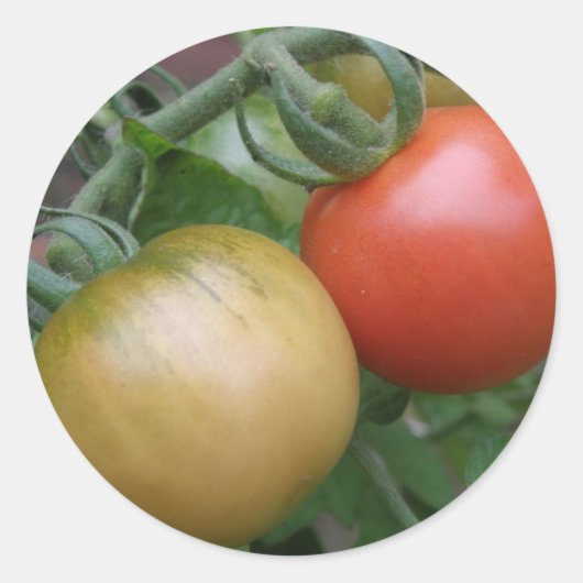 Stickers Tomates rouges et orange (Devant)