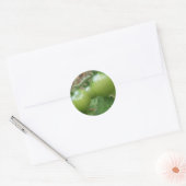 Stickers Tomates vertes (Enveloppe)