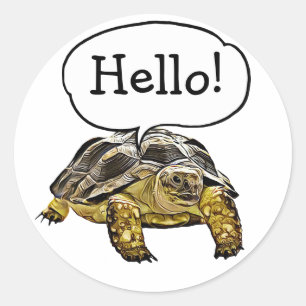 Stickers Tortue mignonne Hello