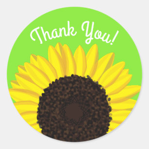 Stickers Tournesol mûre 1er Anniversaire