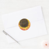 Stickers Tournesol orange (Enveloppe)