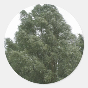 Stickers Treetops