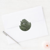 Stickers Treetops (Enveloppe)