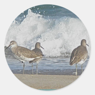 Stickers Trio Bird Shore