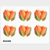 Stickers Tulip (Feuille)
