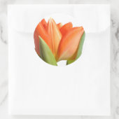 Stickers Tulip (Sac)