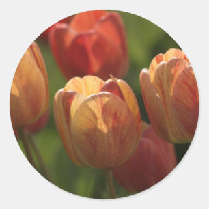 Stickers Tulip Blossoms