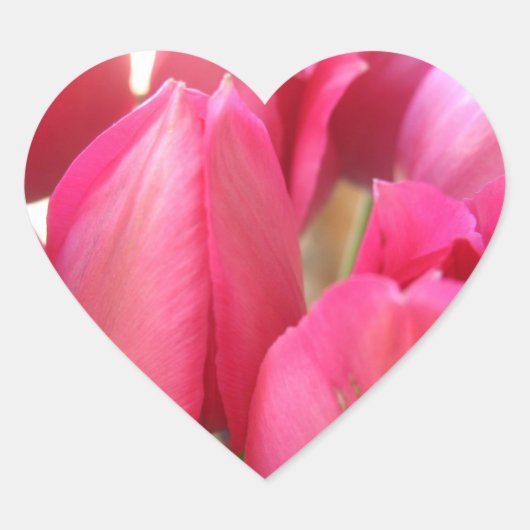 Stickers Tulip Bulles (Devant)