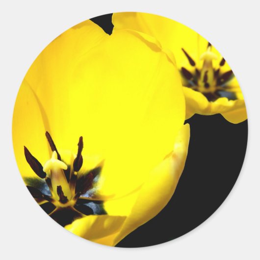 Stickers Tulipe Jaune (Devant)
