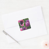 Stickers Tulipe rose et violet (Enveloppe)