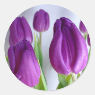 Stickers Tulipes de Pâques pourpres