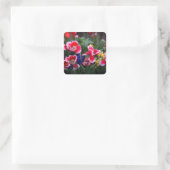 Stickers Tulipes rouges et blanches (Sac)