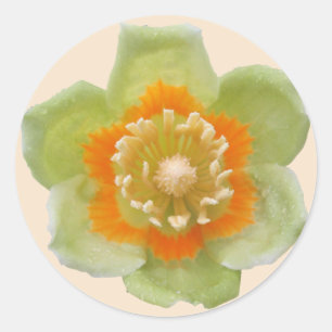 Stickers - Tulp Populip Tulp op Crème