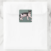 Stickers Tuxedo Cat (Sac)