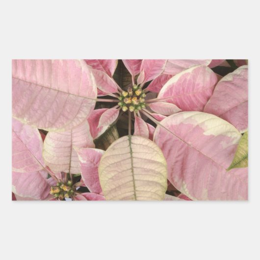 Stickers Vacances (Devant)